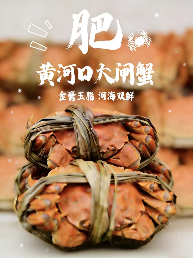 谁说冬天是淡季？看“鲁大壮”的冬日丰收图鉴！