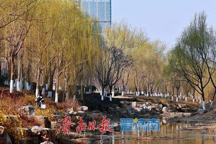 腊山河柳丝拂岸 济南春日美景引游人