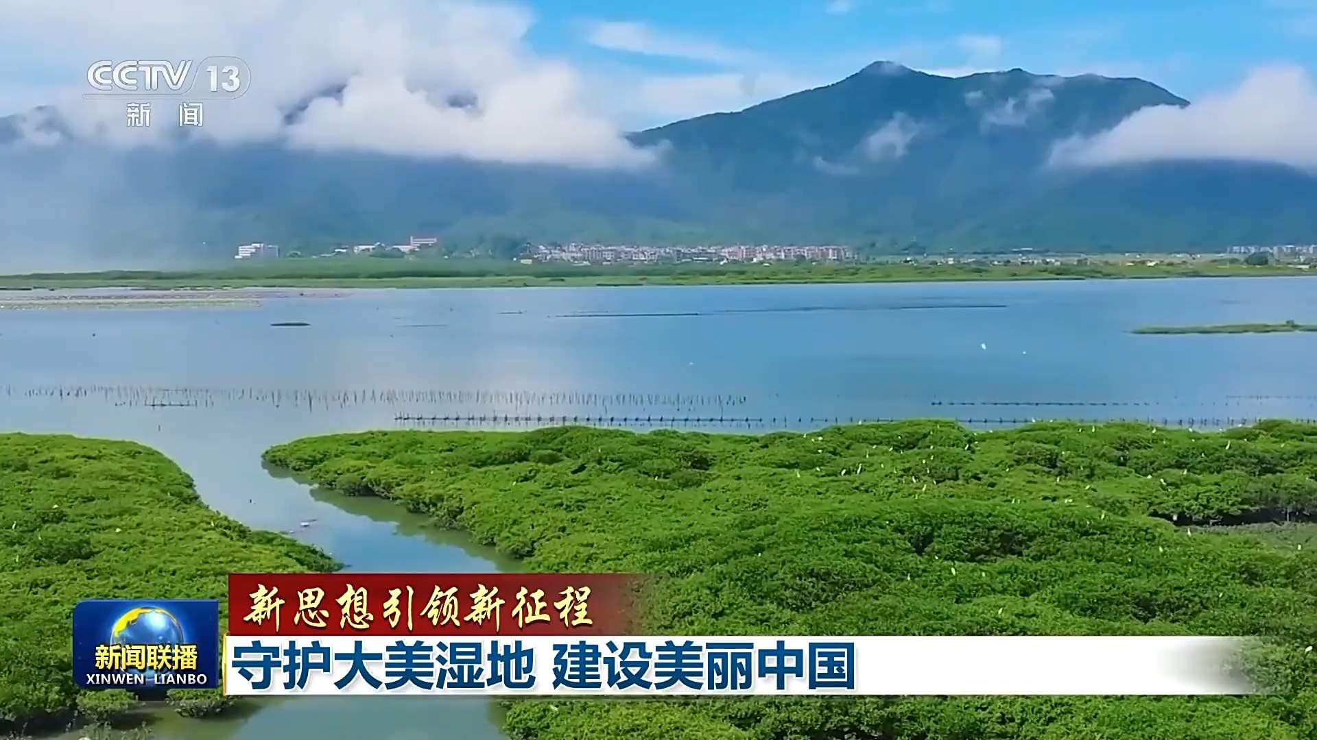 新思想引领新征程丨守护大美湿地 建设美丽中国