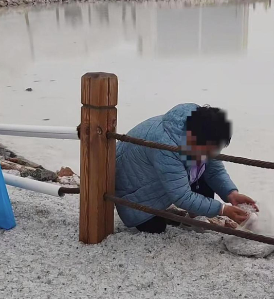 游客成袋装走茶卡盐湖铺路的盐？景区：不建议拿