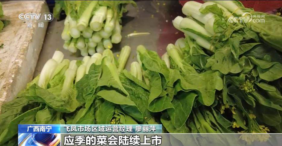 入秋后蔬菜价格逐步回落 应季菜陆续上市