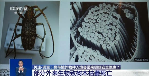 @铲屎官们 养“异宠”或危害国家安全 这些行为违法了