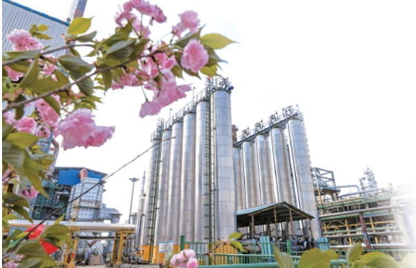 济南炼化：擦亮绿色底色 添彩美丽石化