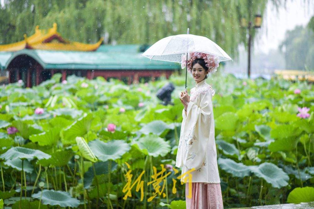  “泉”在济南过暑假 