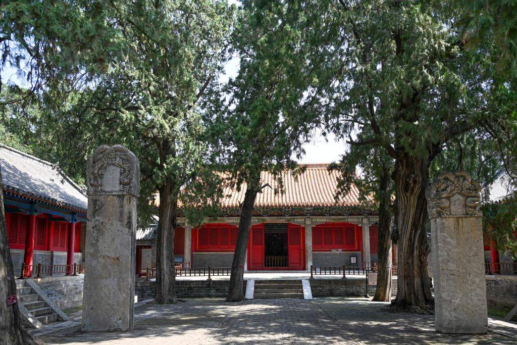 第一批“国保单位·古树名木”协同保护名录公布