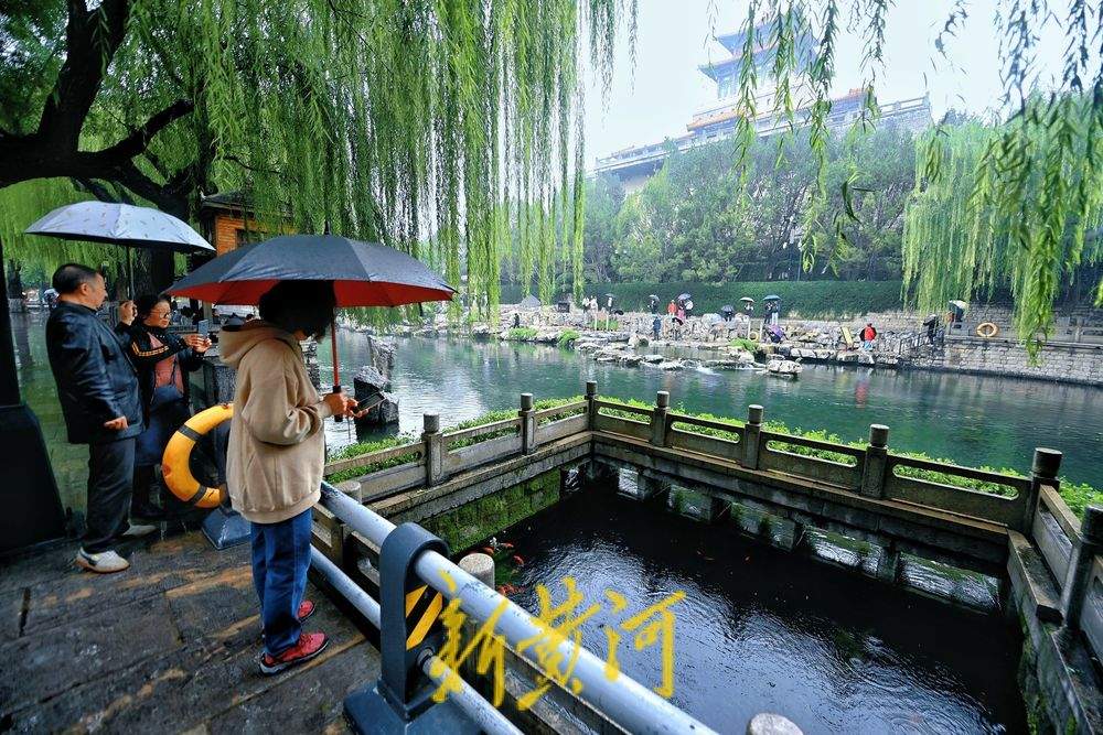 雨中赏“泉水叮咚”，玛瑙泉满溢似“珠帘”