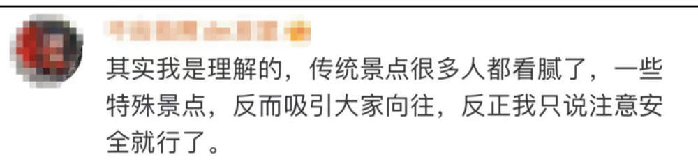 青岛有棵“孤独的树”爆火，打卡的游客排起长队，网友：这下不孤独了吧