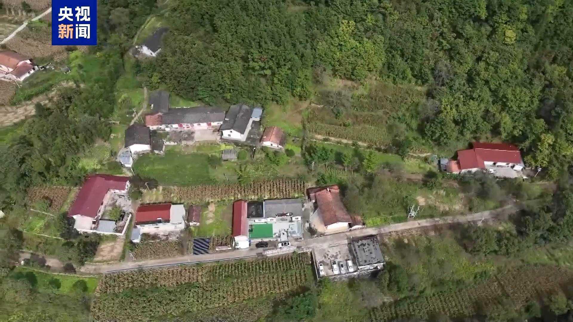 从“头痛医头”到全域统筹 六网交织托举起万家灯火