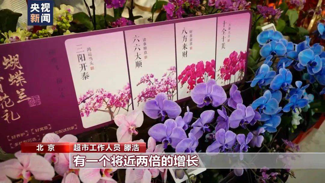 搜索量暴增2000%！这个春节有点“潮”