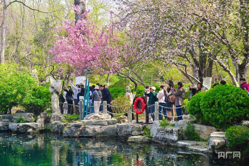 济南：花开满城，暖意融融