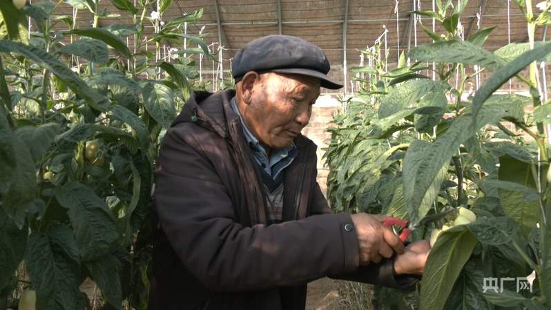 【习声回响】让老百姓幸福就是党的事业