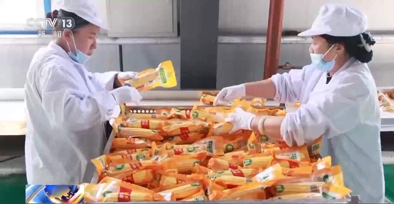 包装玉米是“僵尸玉米”？专家解读