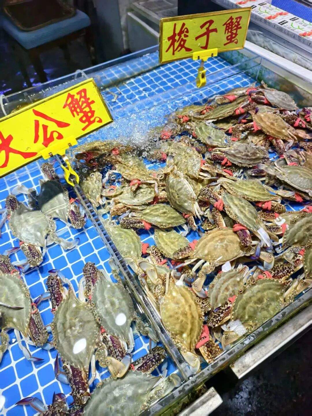 江浙海域迎来捕捞高峰，山东本地海鲜售价如何？梭子蟹应该怎么挑选？