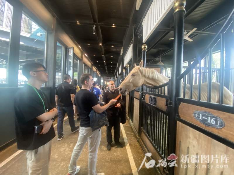 媒体大咖看新疆丨“中国新疆的城市非常繁华，处处都充满活力”