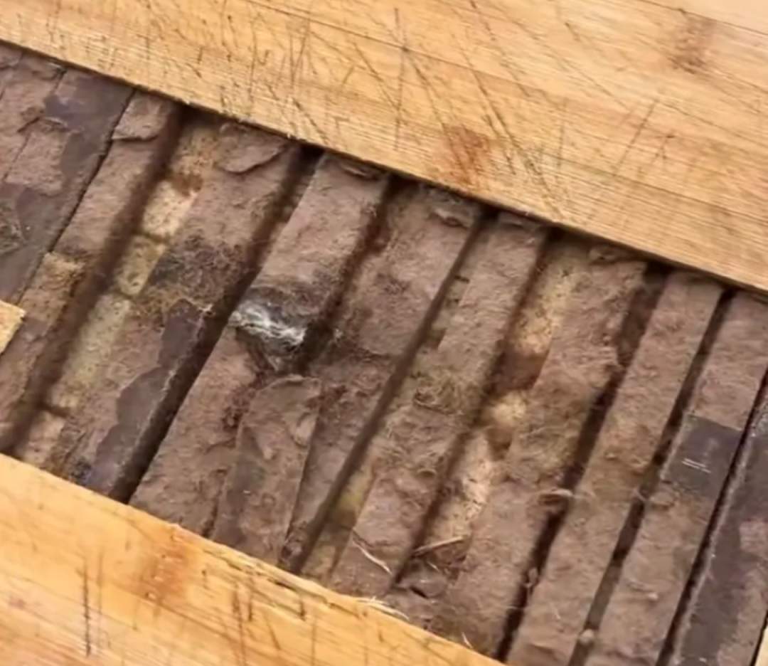 100℃高温杀不死！3个习惯易让家里出现“毒菜板”