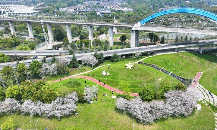 新华鲜报｜春已至！“植”绿山河