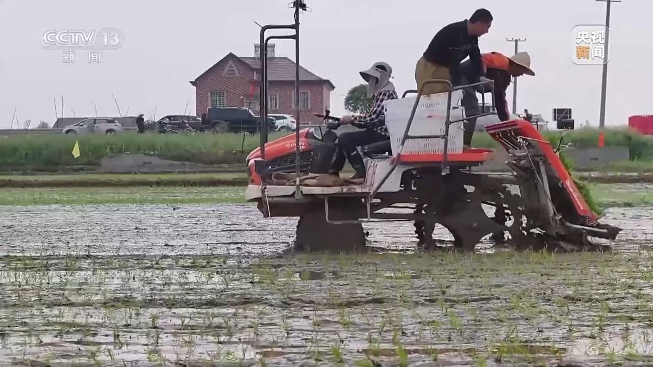 粮食产能如何再增千亿斤？中国有“粮”方