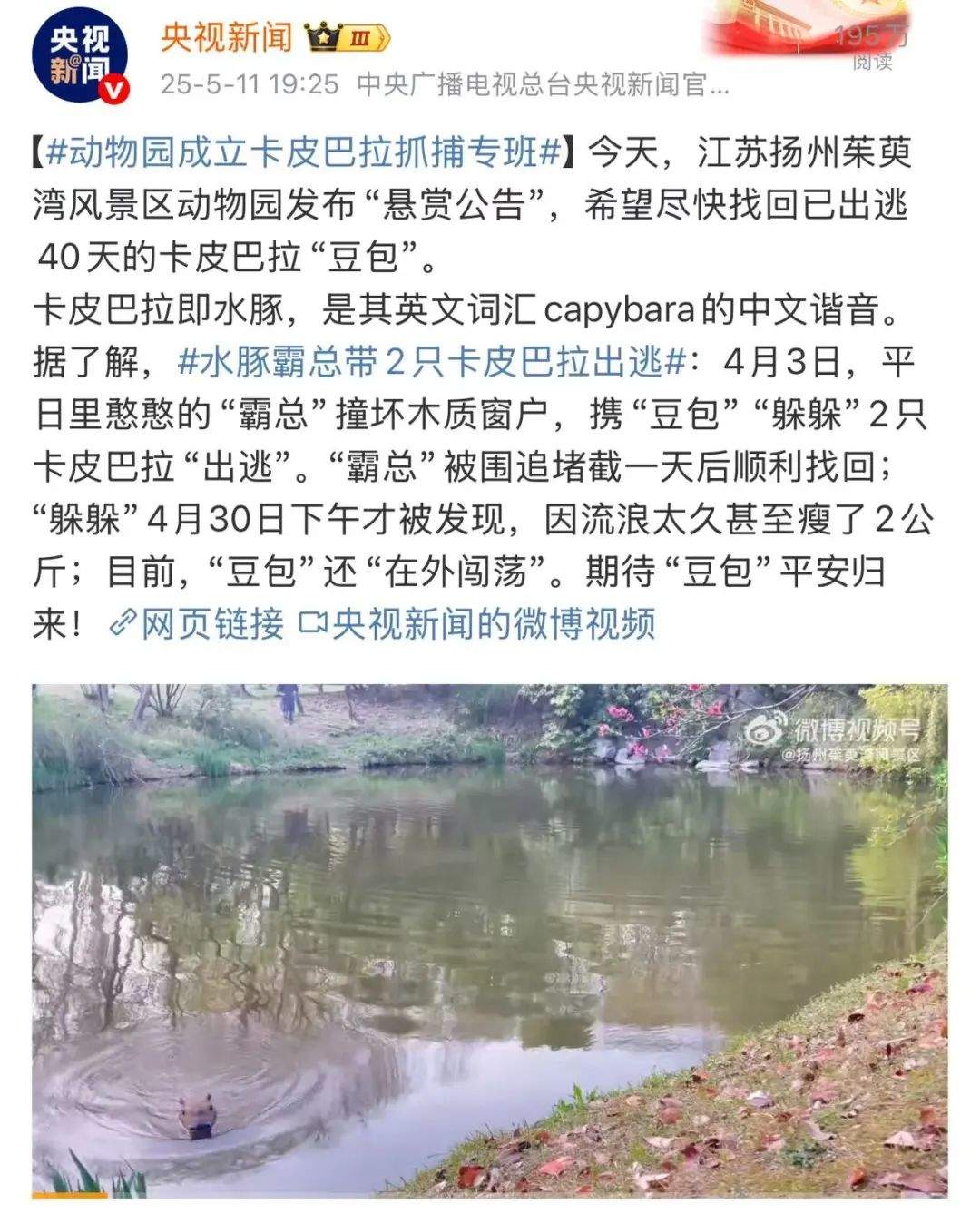 被指“全网最抠门”，悬赏卡皮巴拉的动物园紧急澄清！