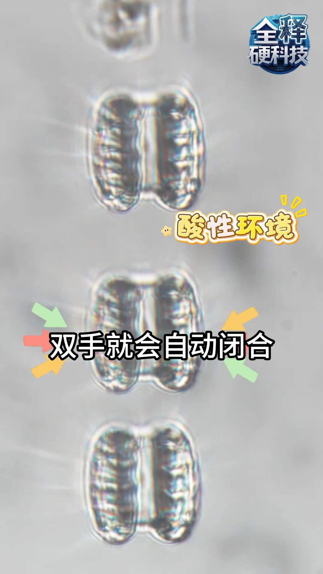 梦想照进现实！这款微纳机器人让“吞下纳米医生治病”成为可能