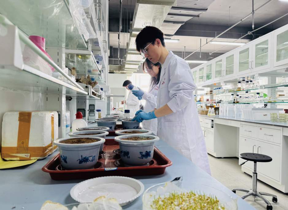 这就是,山东农业大学!