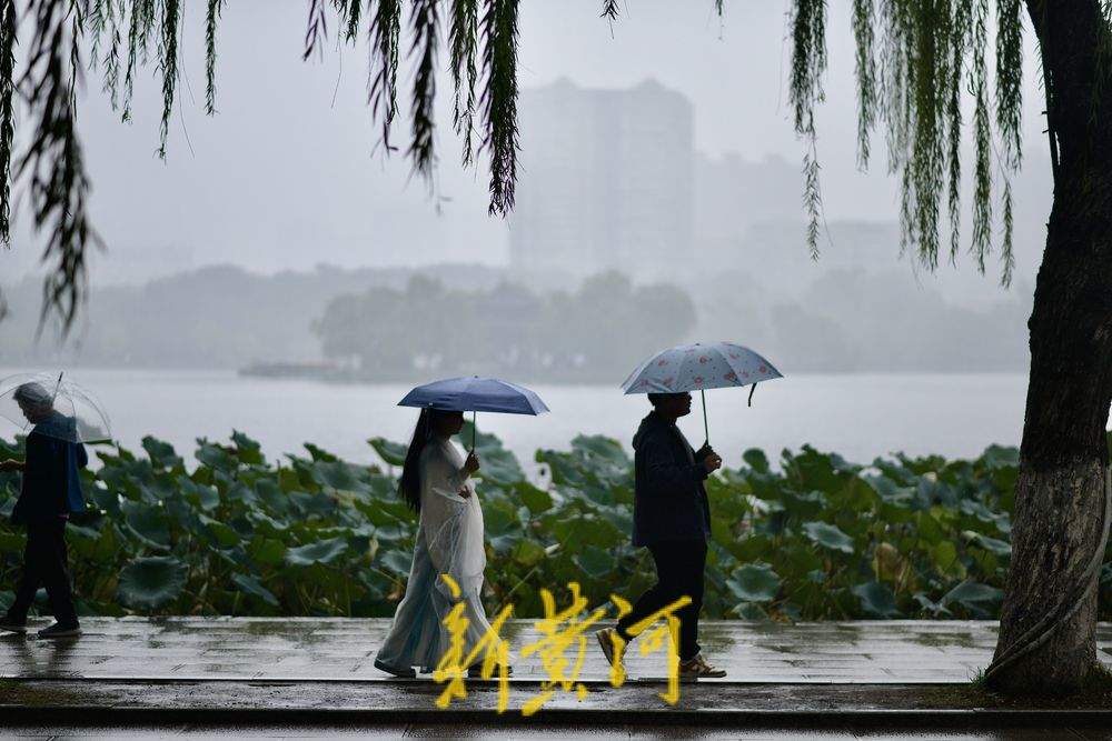 绵绵细雨中 大明湖如烟雨江南