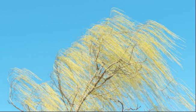 @所有人 本周末非必要不外出！局地可达11级的大风要来了！