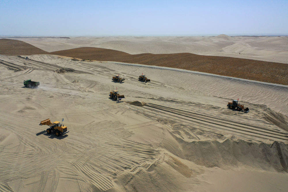 新疆：“乔、灌、药”立体织密绿色屏障 沙产业助力绿富同兴