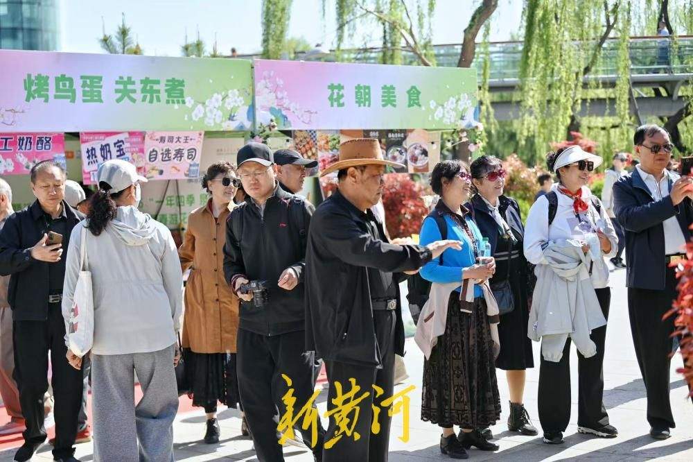 泉城牡丹盛开 带火“美食经济”