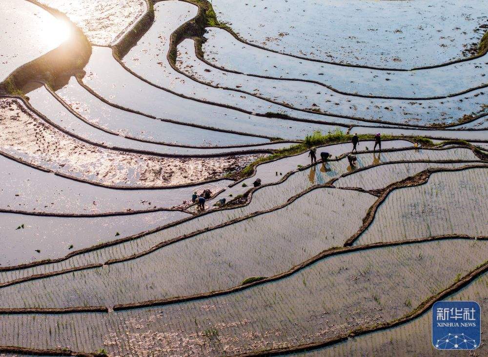 夏种忙