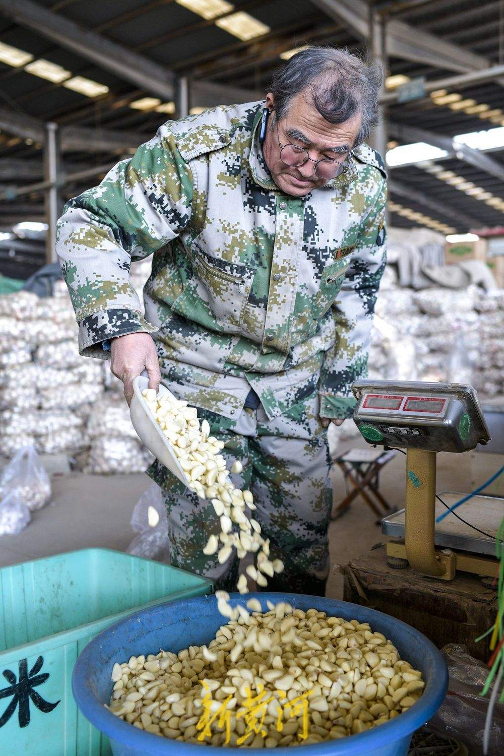 腊八节临近大蒜需求升温，价格与往年同期持平
