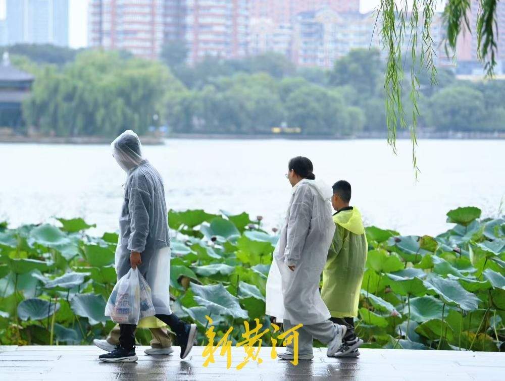 雨润明湖游人至，济南泉水游热度高涨
