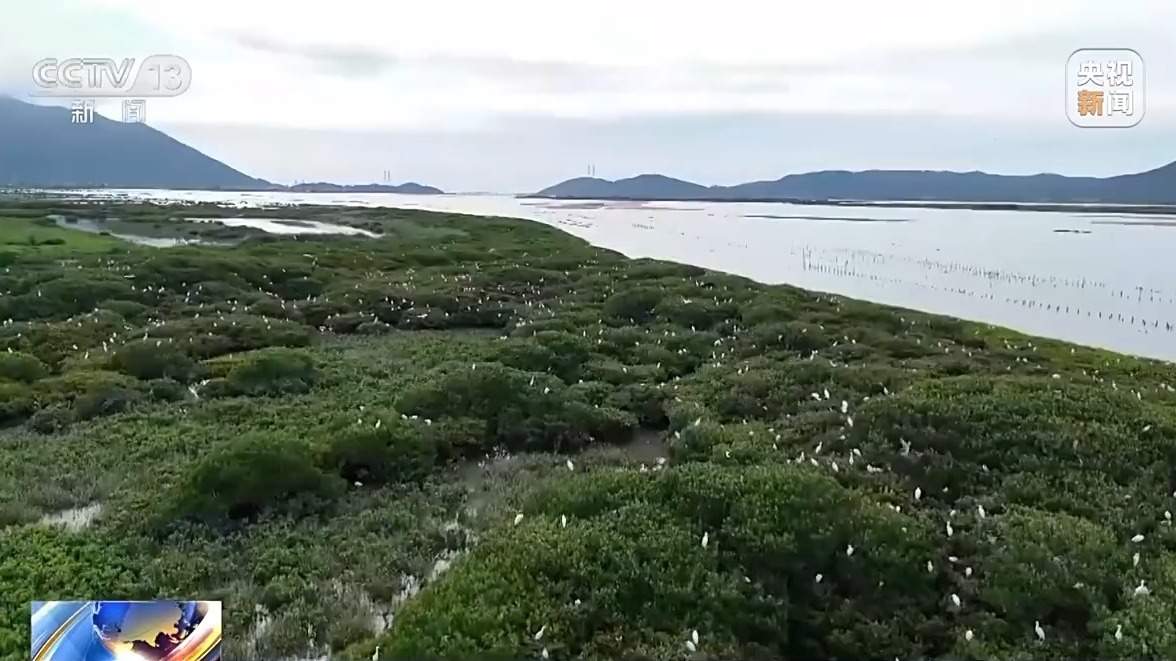 我国海洋能开发利用技术已迈入世界第一方阵