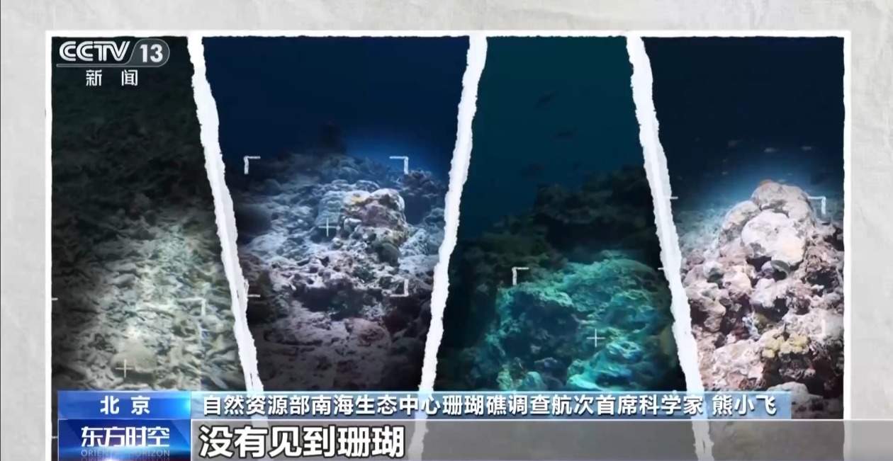 铁线礁珊瑚礁生态系统退化严重 这份“体检”报告有何重要意义?