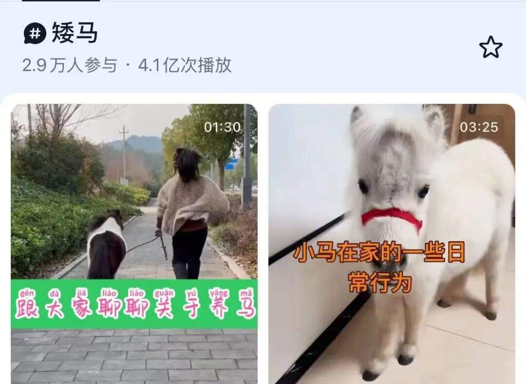 马年跟风养马？年耗数万元修蹄 律师：城市养须报批