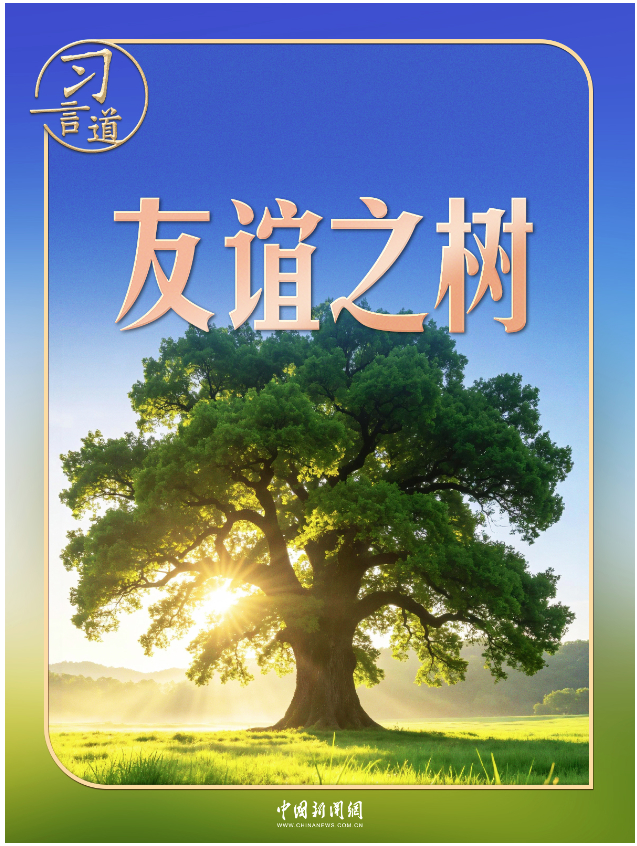 习言道｜在白宫，习近平提到了一棵树和一片林