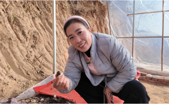 融媒·见证丨种得出好菜，治得了污染，兴得起经济——小虫子撬动大产业