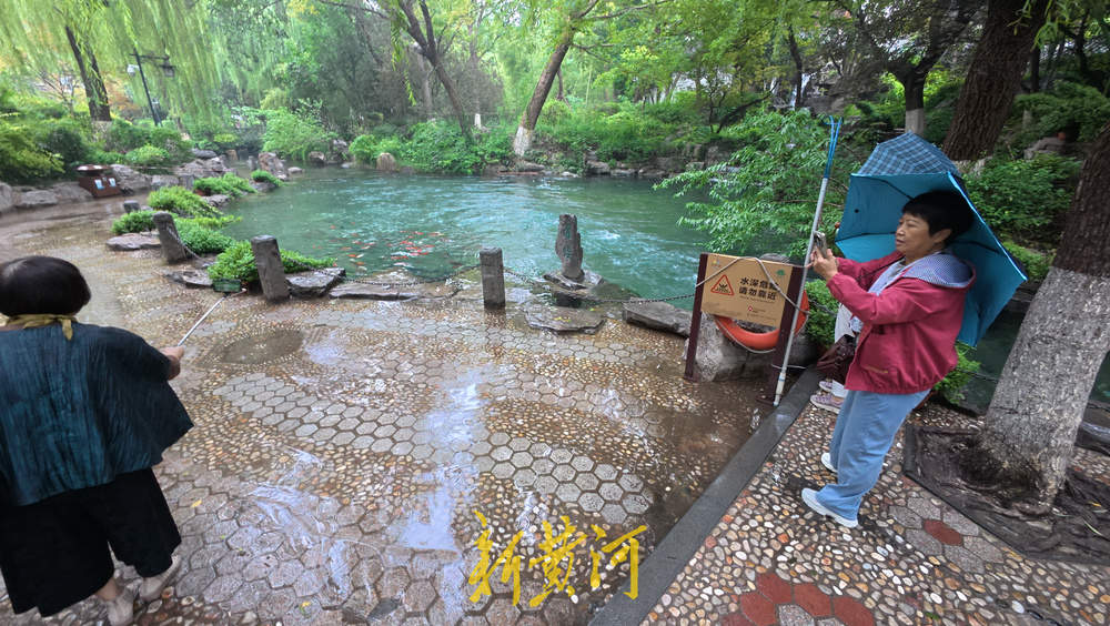 水位上涨泉水喷涌发力 溢出泉池涌入岸边路