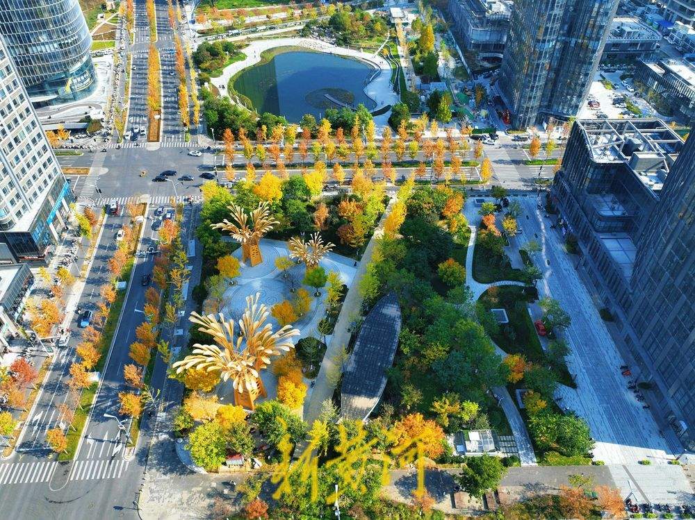 层林尽染 济南CBD“五指山”下秋意浓