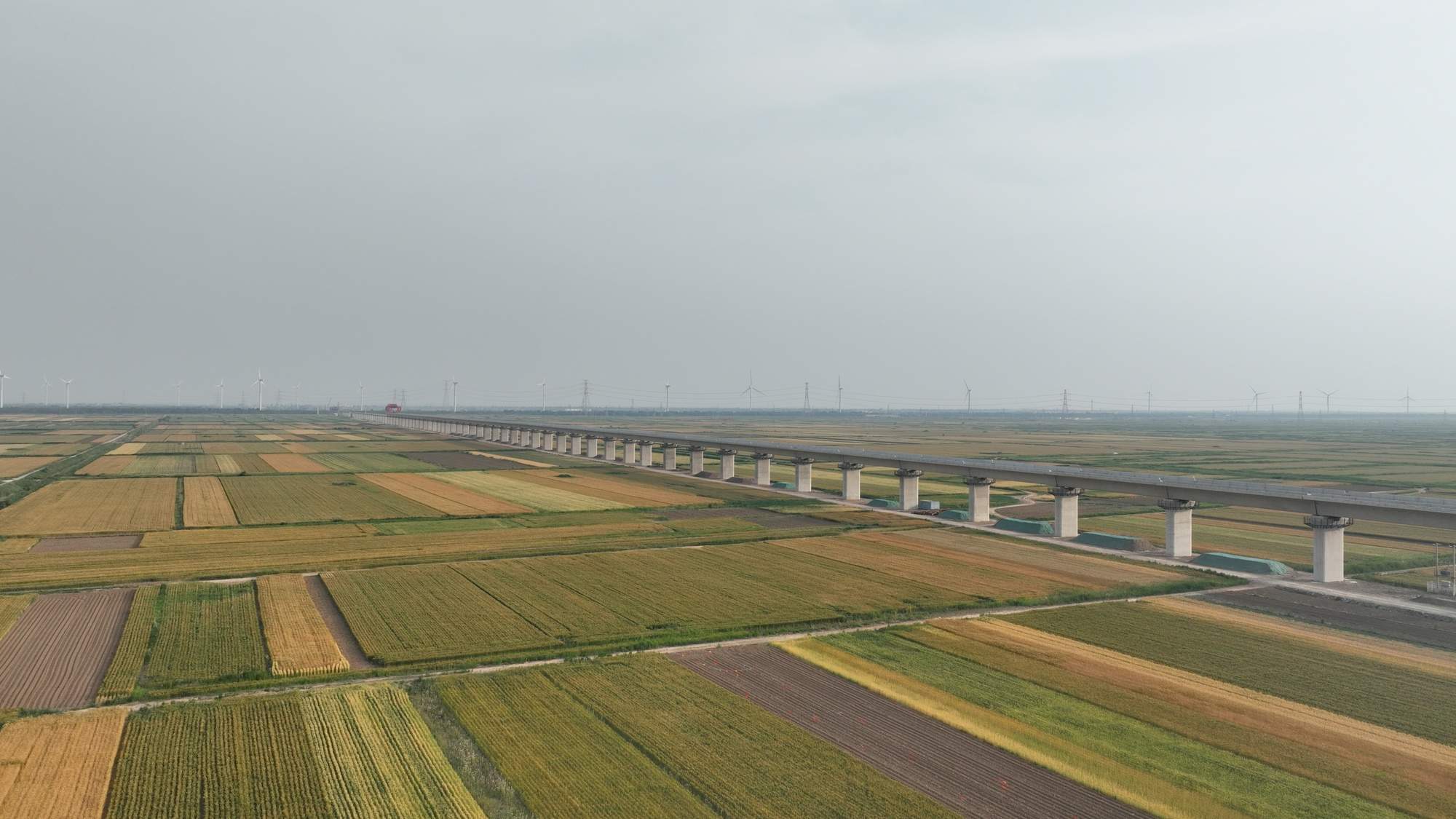 热潮涌动吹响实干“冲锋号” “马”力全开奋战新春“开门红”