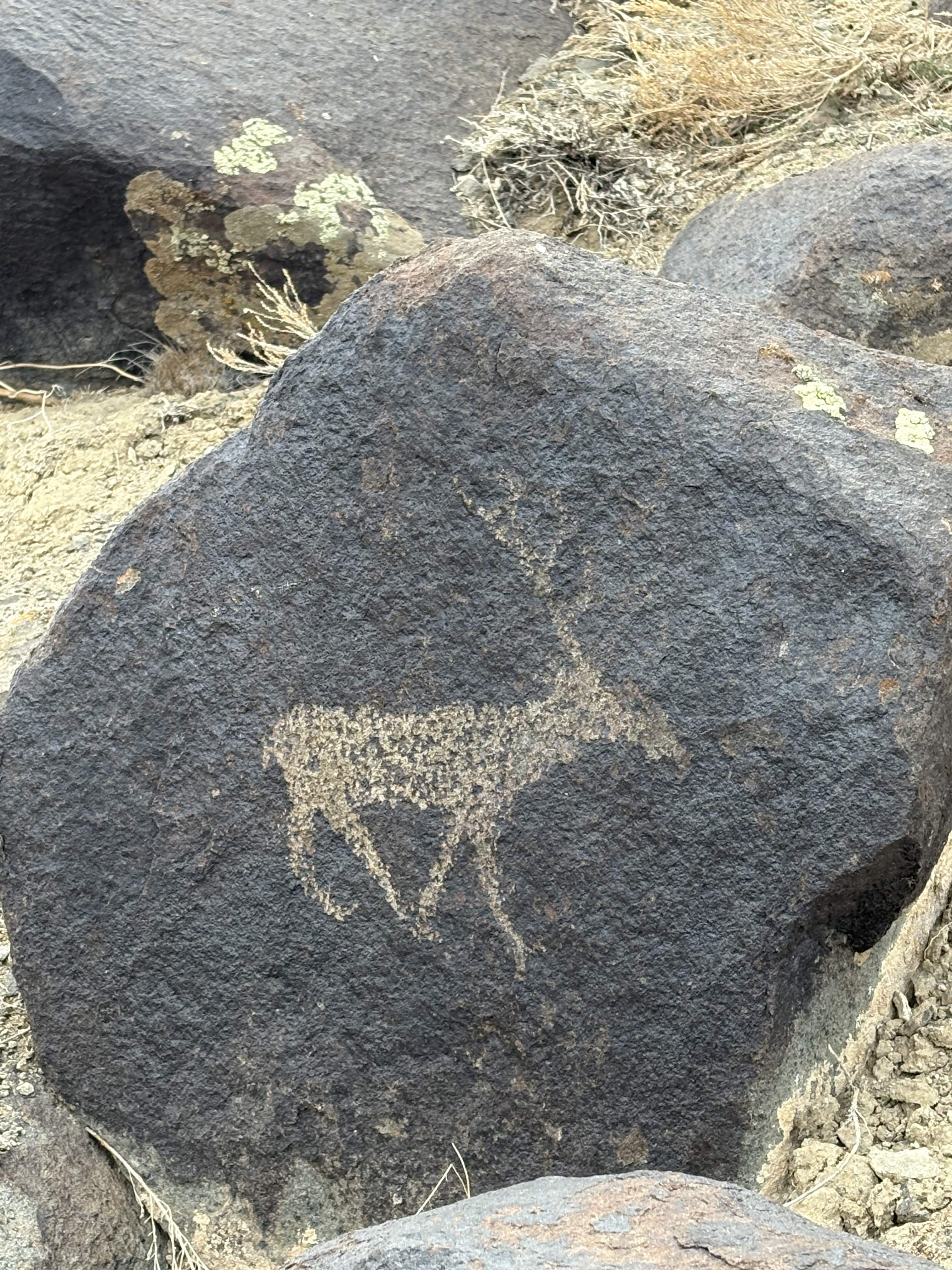 文化中国行丨从阿尔泰山到昆仑山 新疆岩壁上的“朋友圈”画的啥