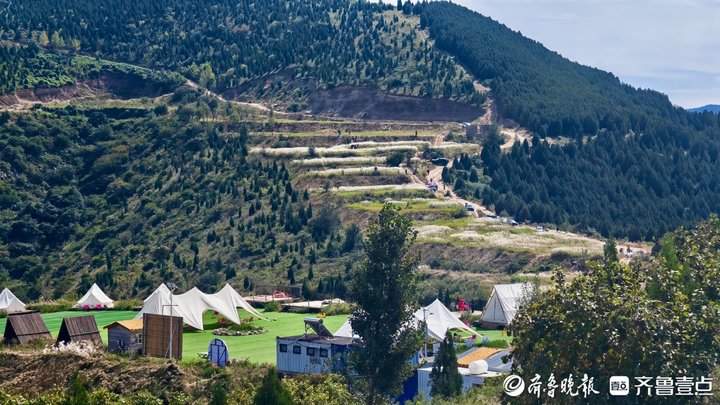 白色花海怎么拍都好看！济南丁子寨荻花已到观赏季
