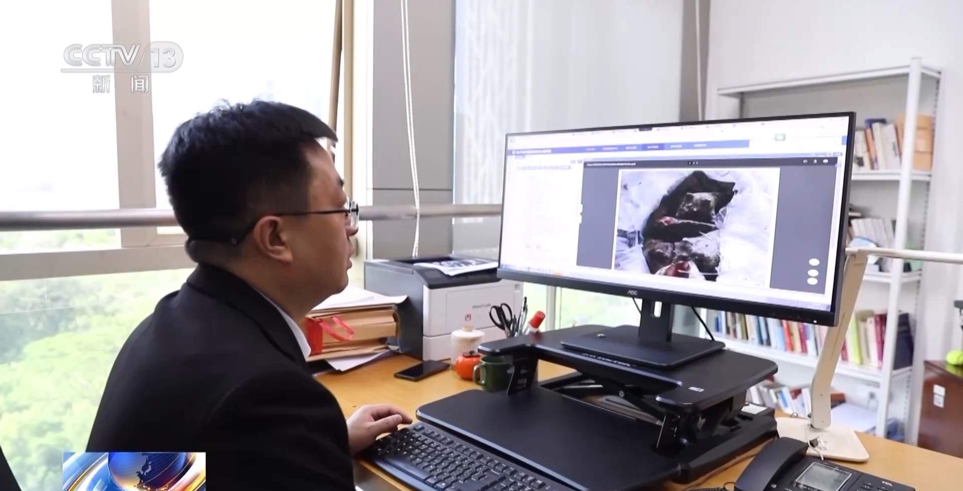 装饰品变成“洋垃圾”？进口近11吨贝壳被罚款50万元