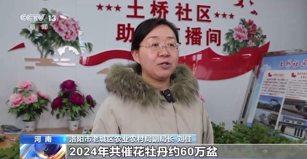 春节临近年宵花畅销！南北方偏好有不同 你选了哪一种?