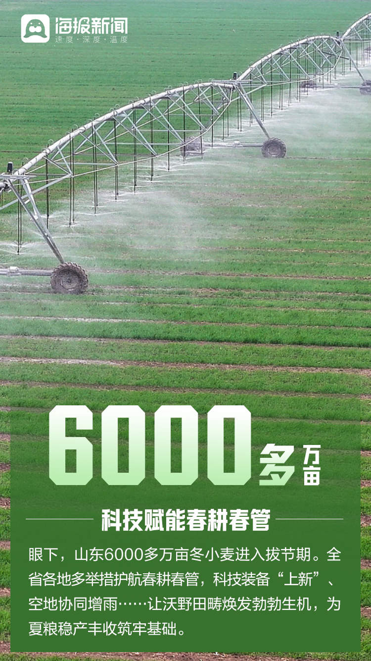 “数”里行间看山东经济热潮涌动