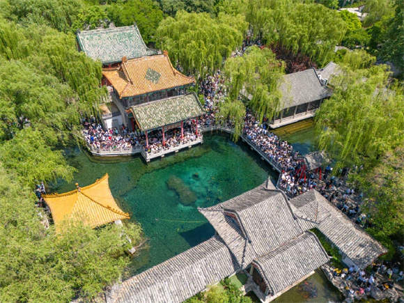 趵眼｜“千泉之城”的活力密码：人守泉涌，泉润人心