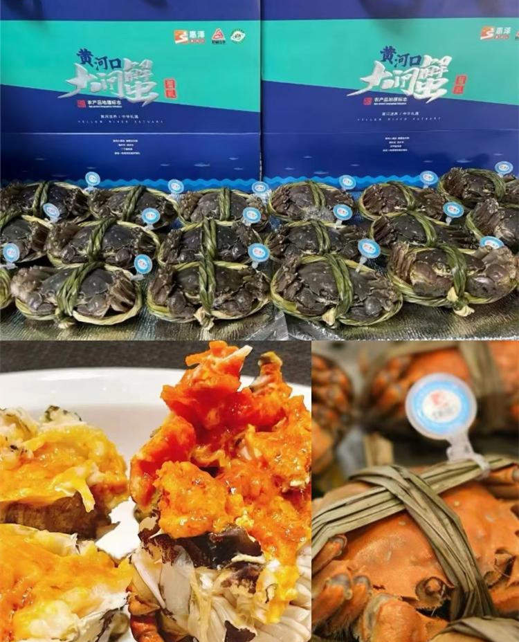 中秋探访济南市场：梭子蟹仍占“C位” 山东本地蟹9月大量上市