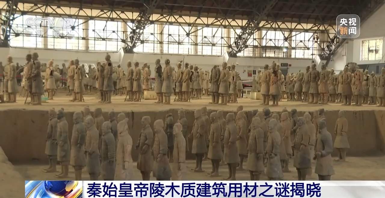 海拔由低→高,秦始皇帝陵木质建筑用材之谜揭晓