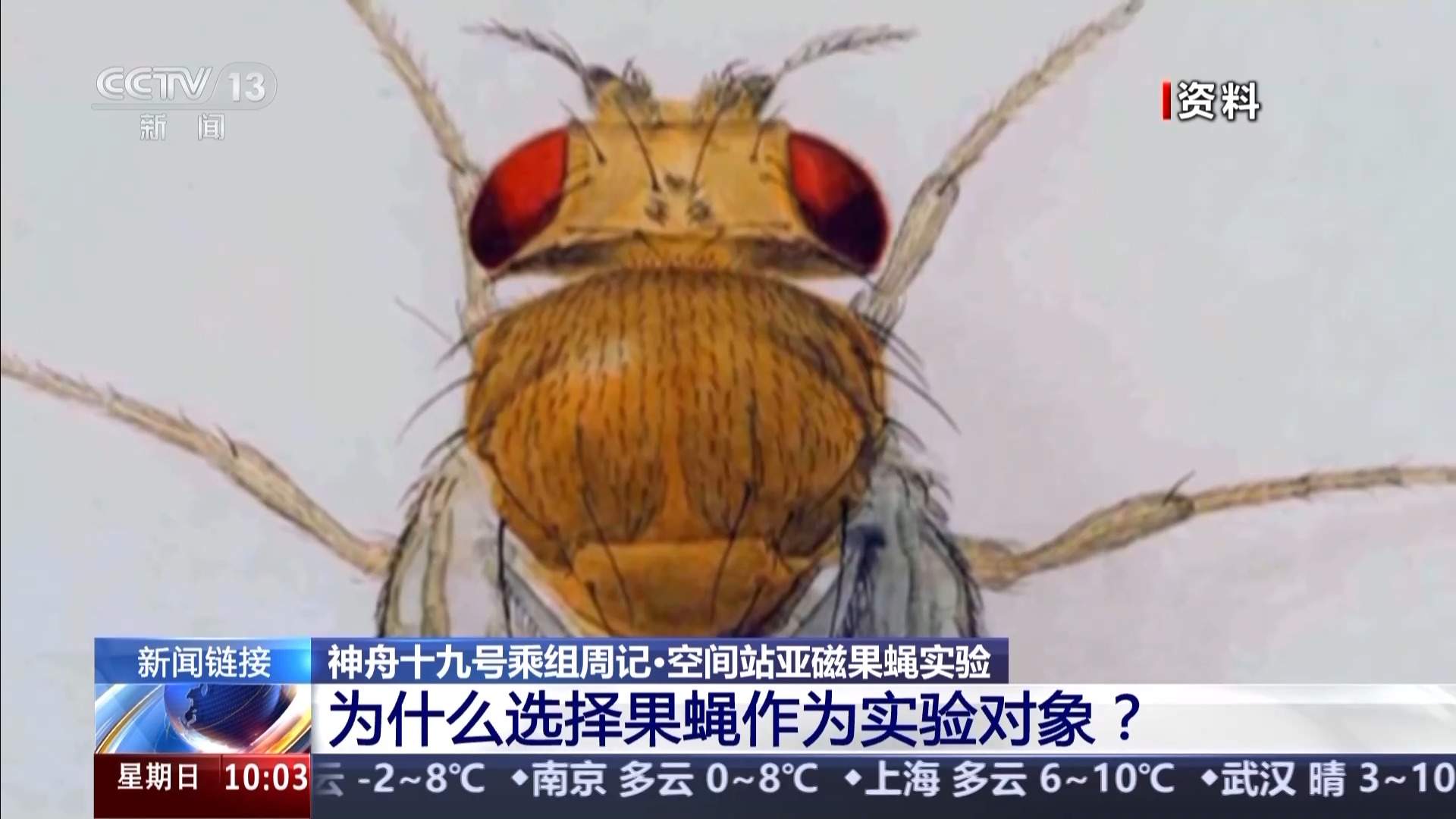 神十九乘组最新工作动态 瞅瞅他们在忙啥？