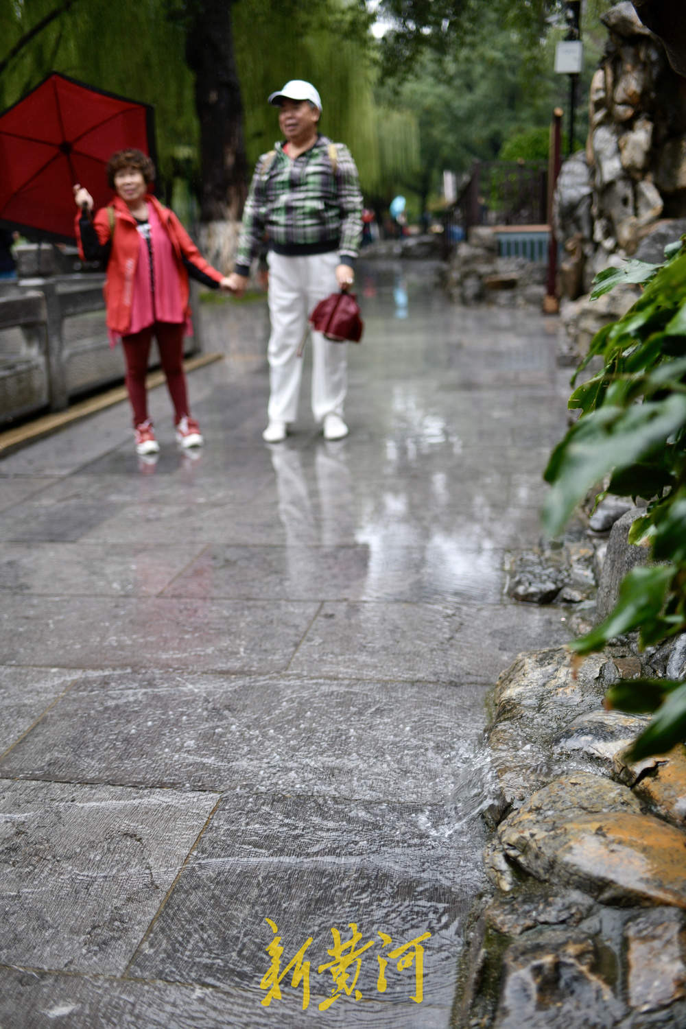 地下水位连涨，泉水漫出泉洞 ，现黑虎泉版“清泉石上流”