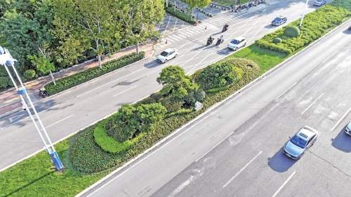 守护“一城绿” 心系“国庆红”